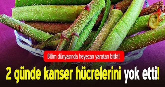 DÜNYA BUNU KONUŞUYOR! KANSERİ İKİ GÜNDE BİTİRİYOR