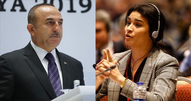 Çavuşoğlu'ndan Fransız parlamentere 'soykırım' cevabı